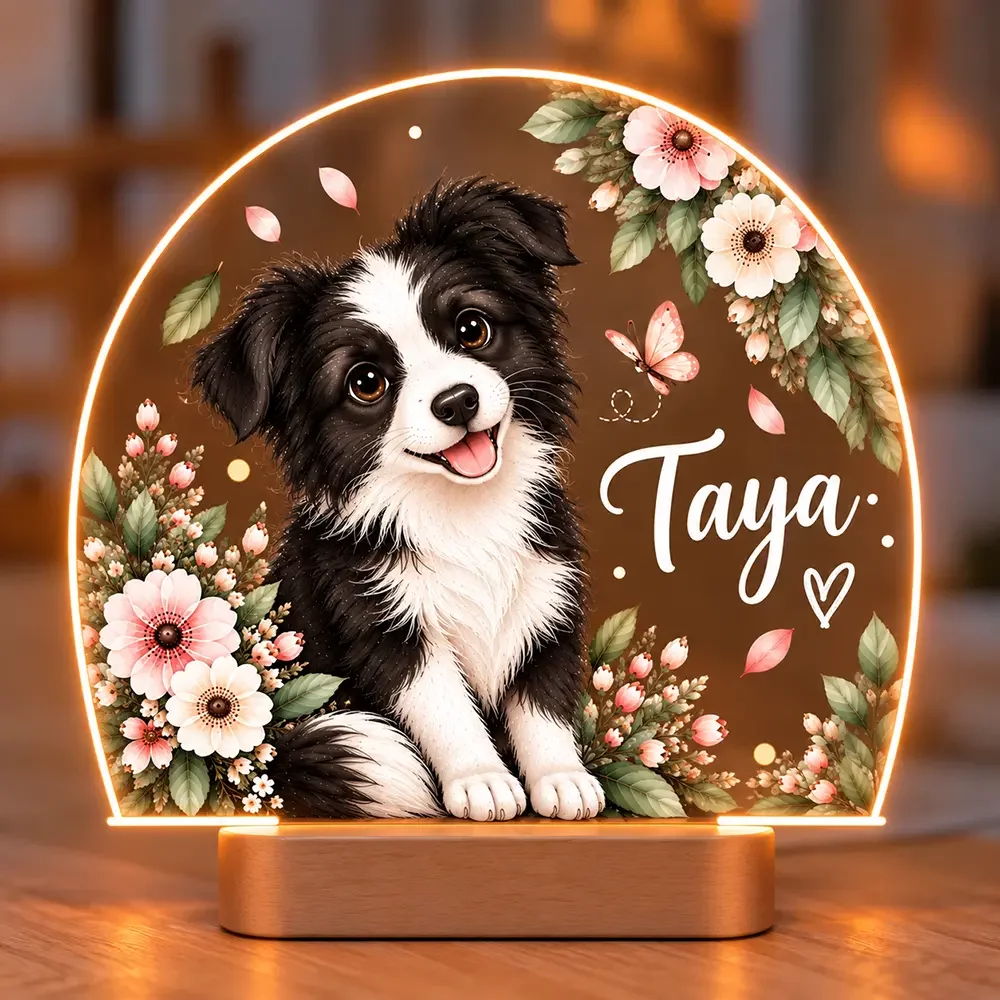 Lampe veilleuse personnalisée Border Collie