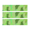 3 Bandes de gâteaux sucre décor Jungle