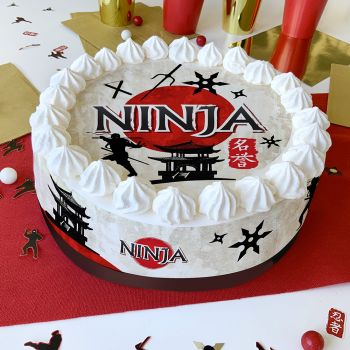 Kit deco de gâteau ninja