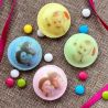 Bonbons personnalisés Pixipop Multi-Photo
