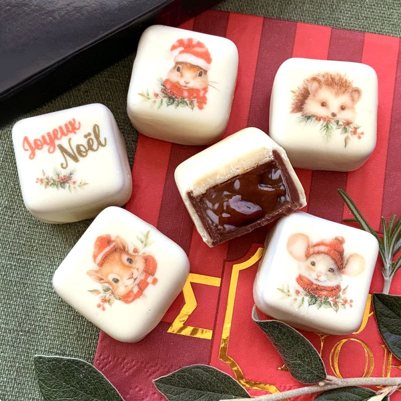 Chocolats de noël décor animaux